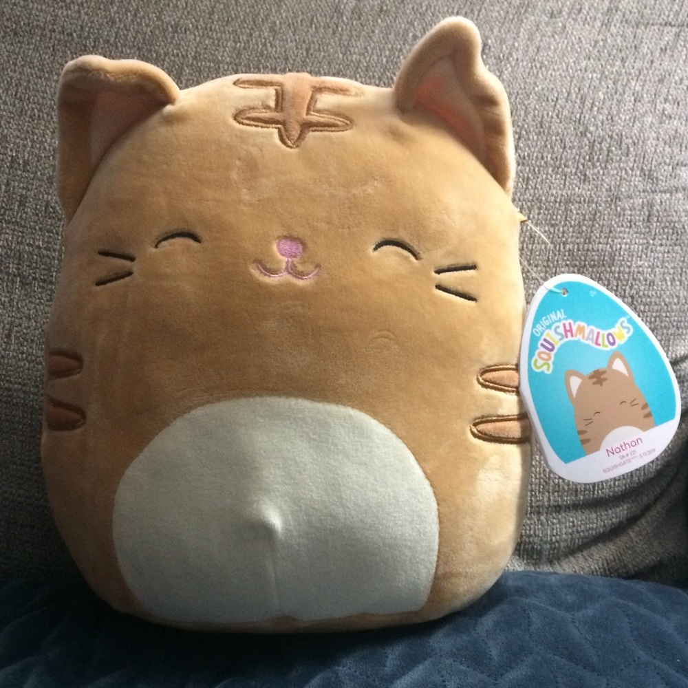 Squishmallow Cat Nathan